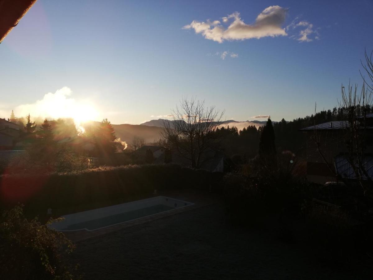 Ferienwohnung Mit Pool In Woerthersee Naehe Dellach  Dış mekan fotoğraf