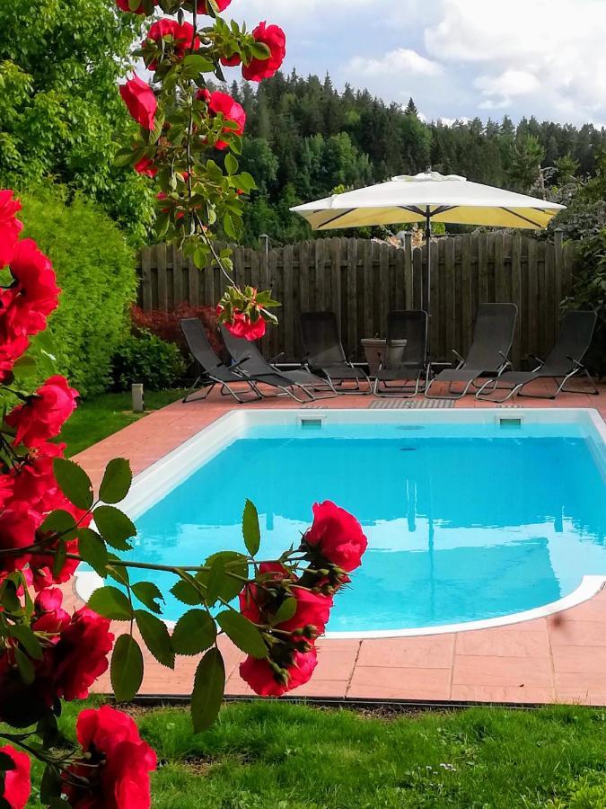 Ferienwohnung Mit Pool In Woerthersee Naehe Dellach  Dış mekan fotoğraf